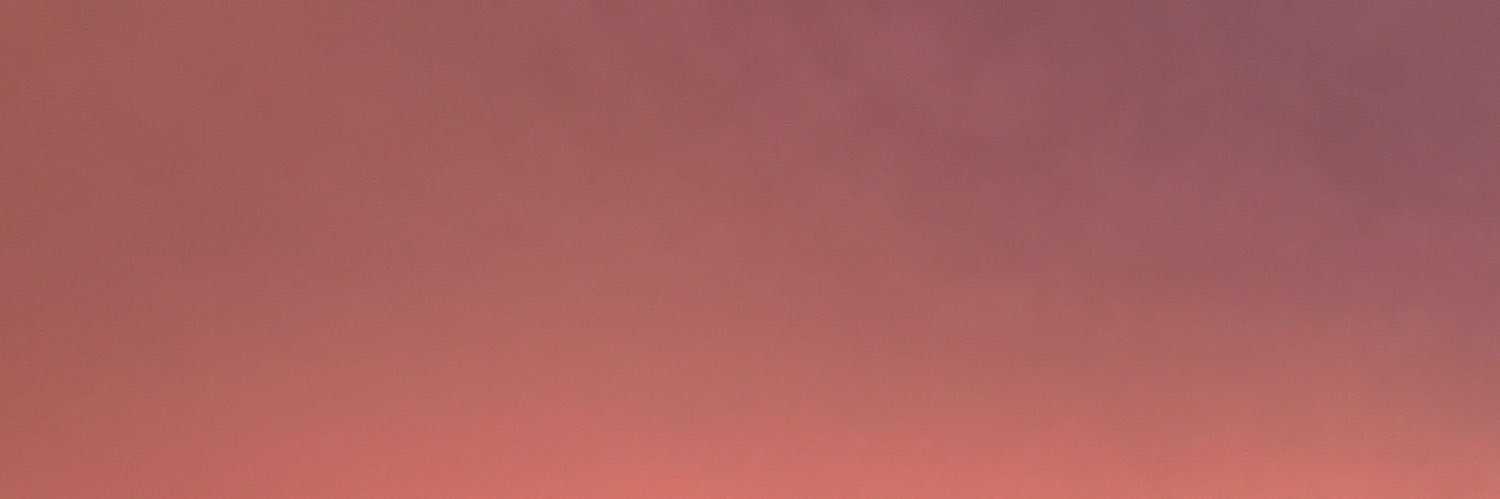 annsran's profile banner image