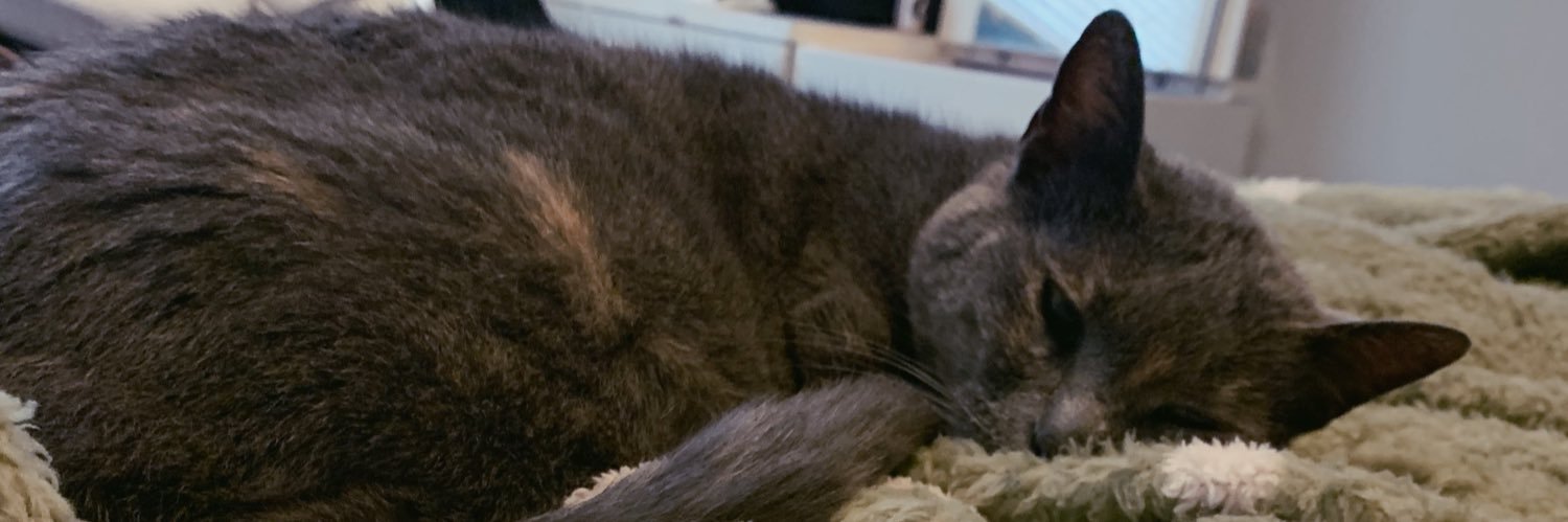 oatmilkmel's profile banner image