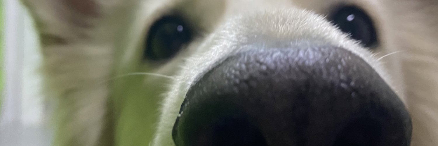 sergiocp__'s profile banner image
