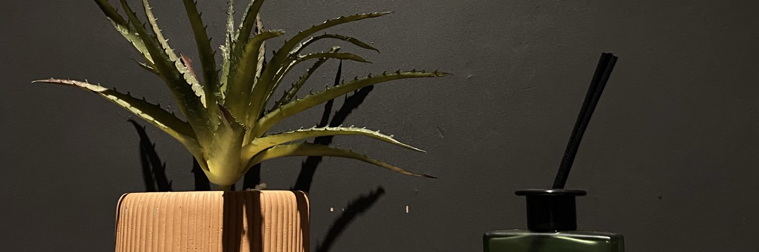 caridinosaurus's profile banner image