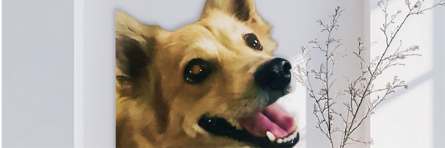 Maximilliam's profile banner image