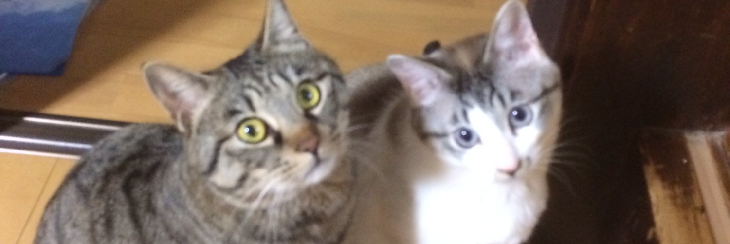 29rtLemontea's profile banner image