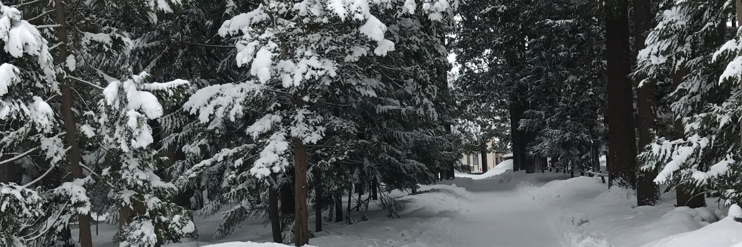 Mook2525's profile banner image