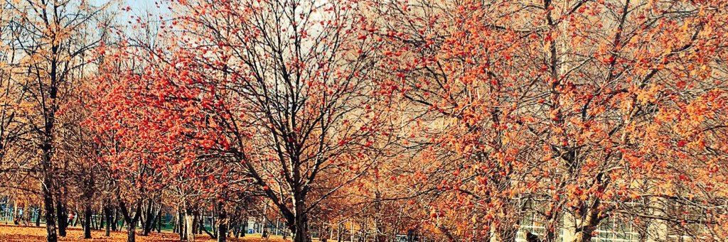 GaliaSteven's profile banner image