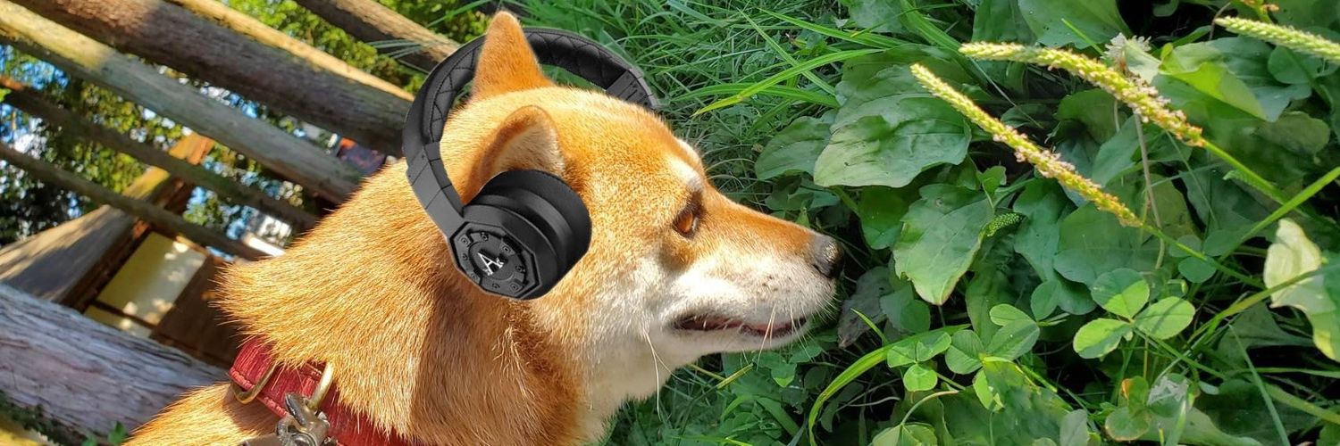 Rusty_Valorant's profile banner image