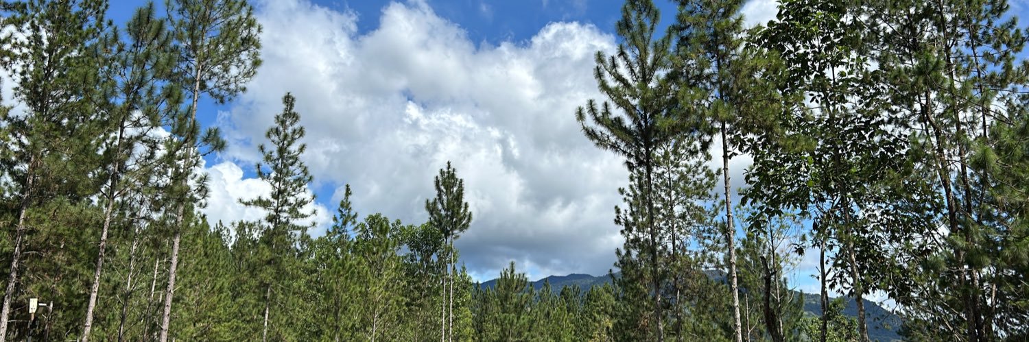 katyacompo's profile banner image