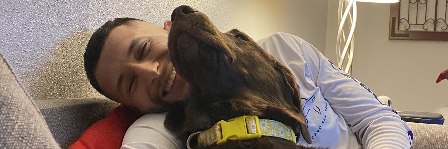brazyybrit's profile banner image