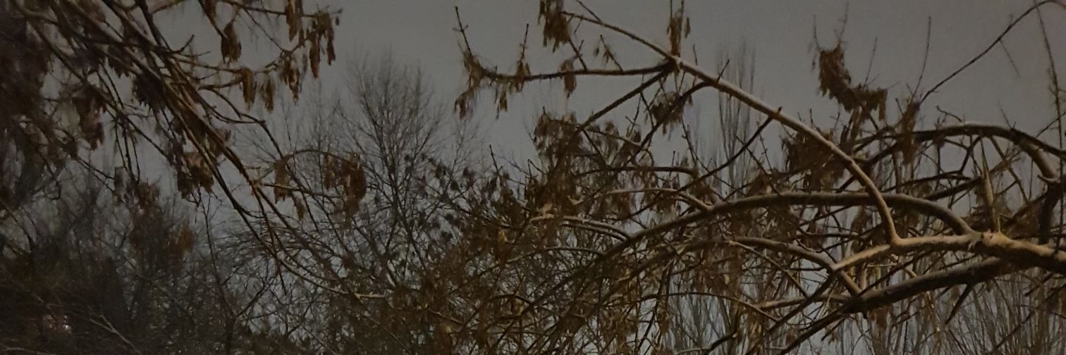 Valera banner