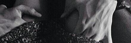 Zayn banner