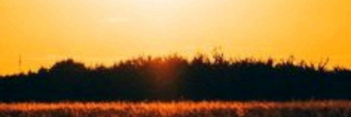 geraldojsk's profile banner image