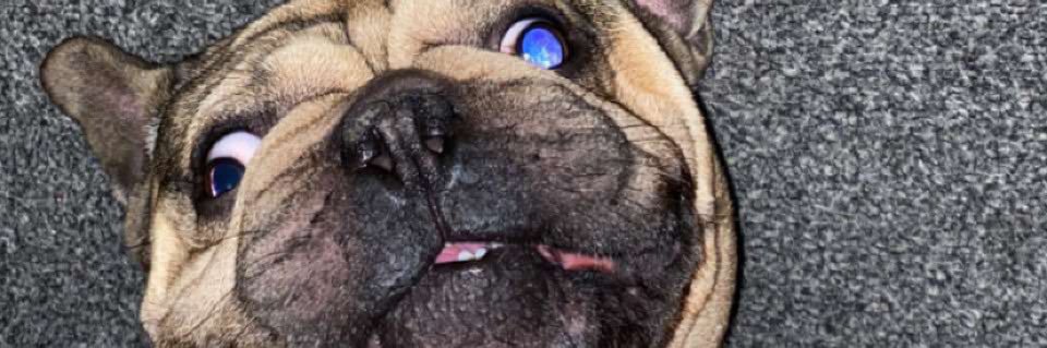 reagangarforth's profile banner image
