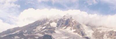 cheycheyflower's profile banner image
