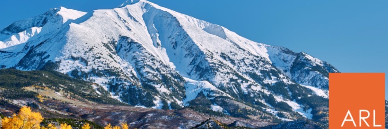 Amanda Ruth Lee banner