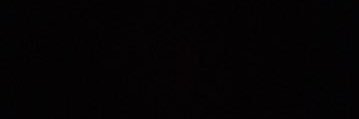 Geezus Shuttlesworth's banner