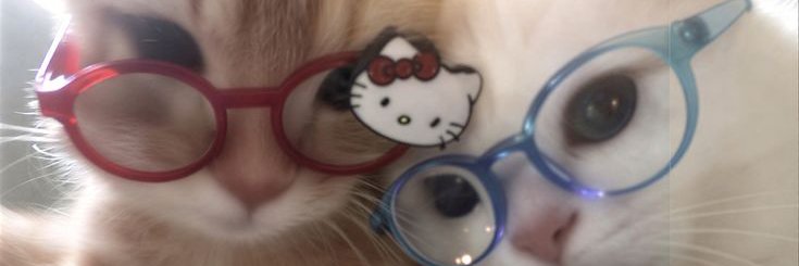 gomseull's profile banner image