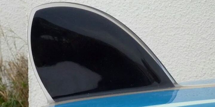 LeonSurfingClub's profile banner image