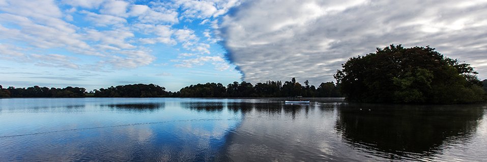 Terry D. {Actor} 🎥🎬 banner