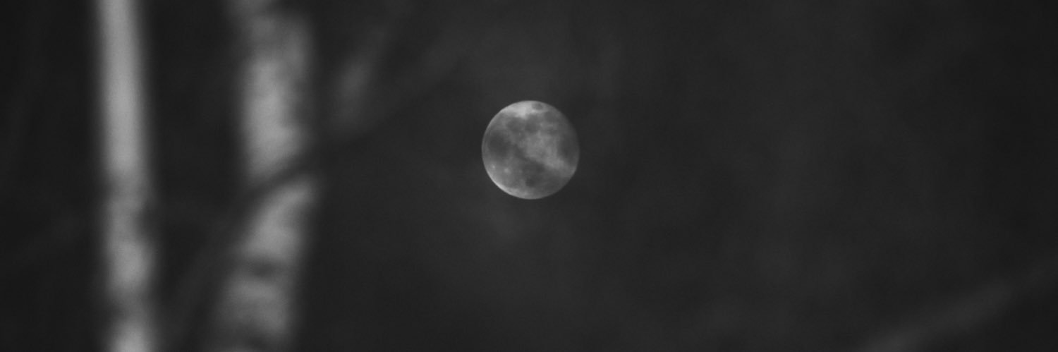 gratefulani's profile banner image