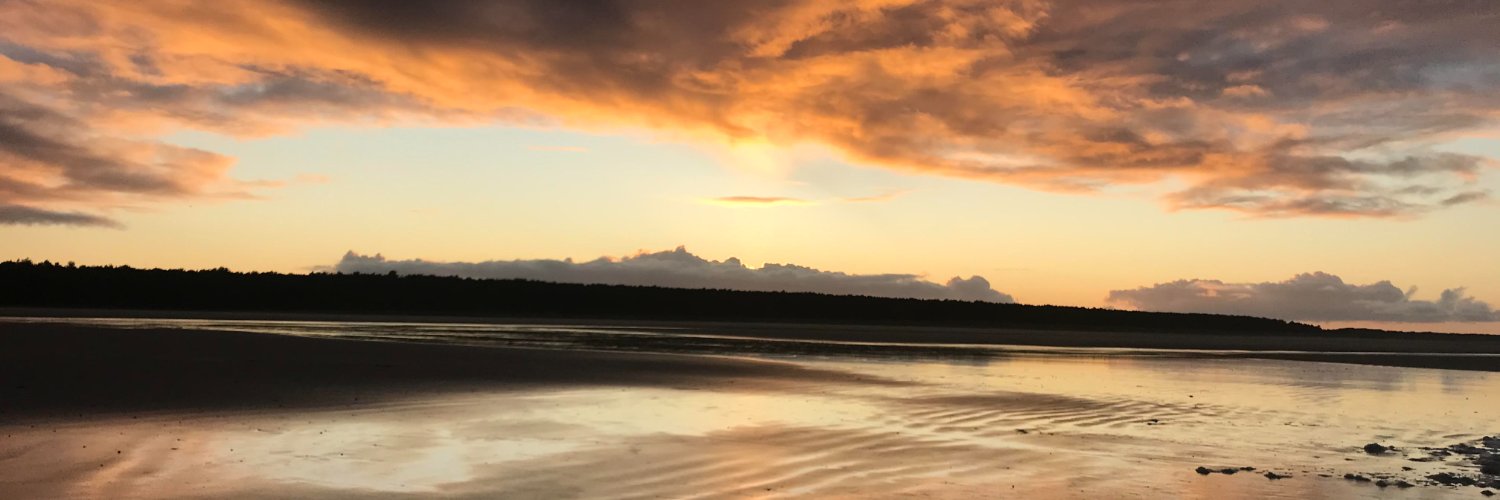 Franbrosan's profile banner image