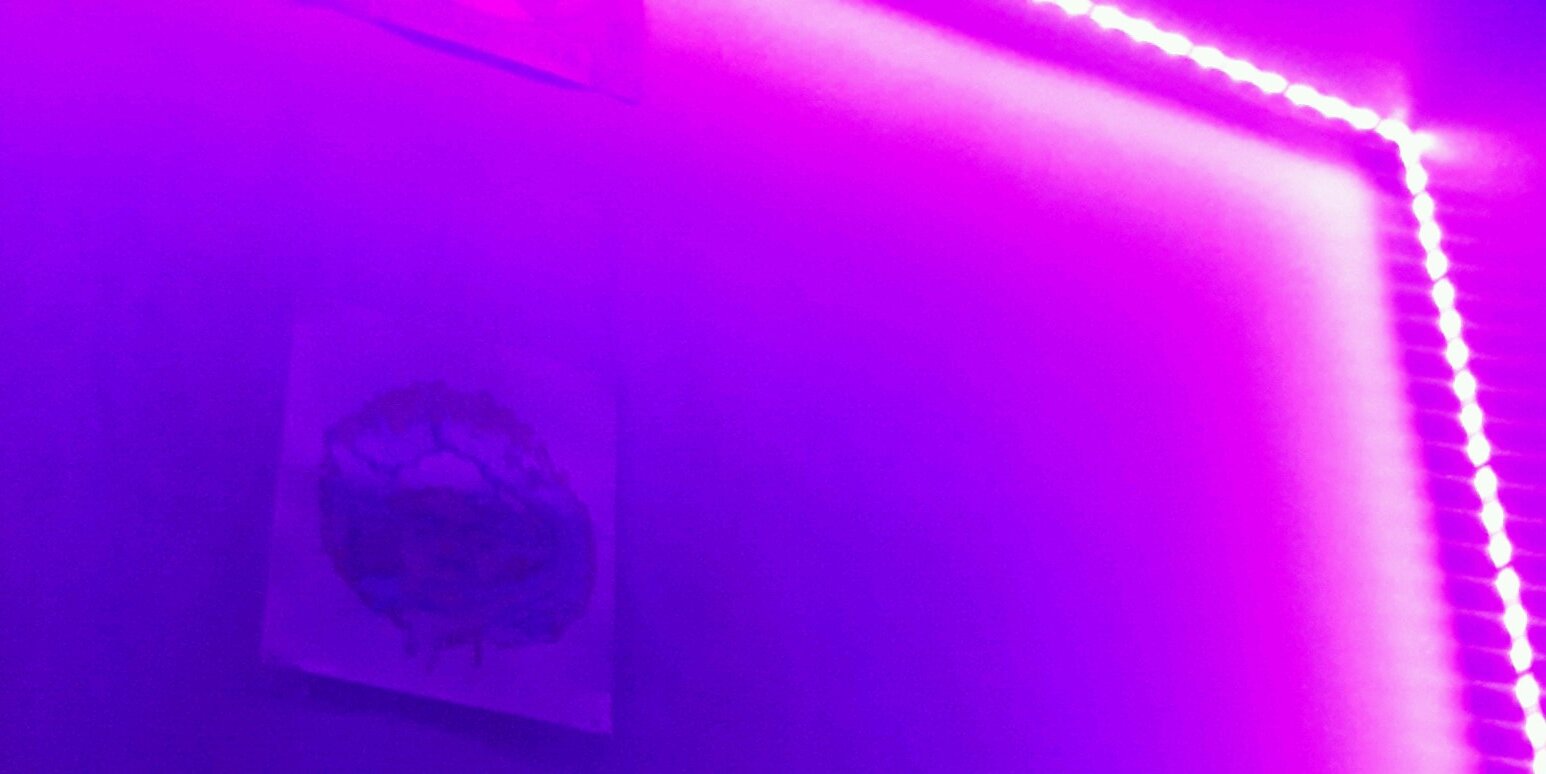 mapsrodriguez's profile banner image