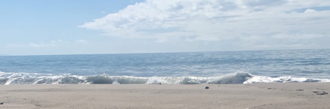 luuupitaperez's profile banner image