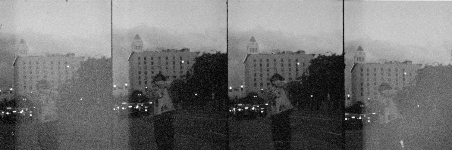 hippiedren's profile banner image