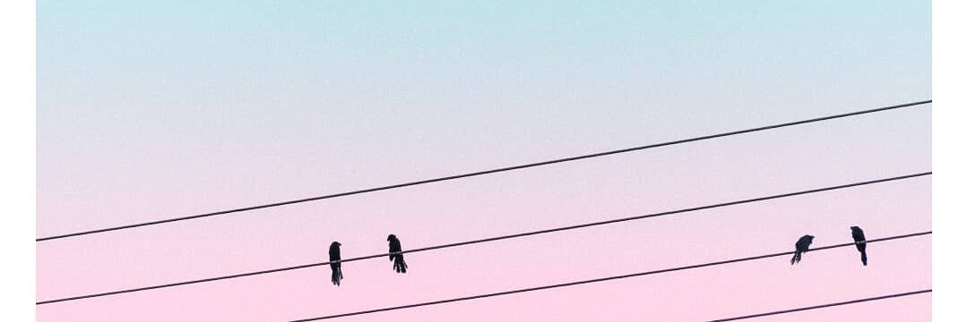 _arrobamel's profile banner image