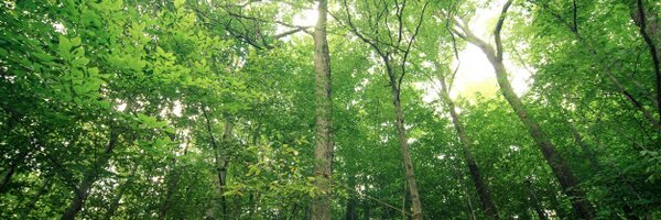 carlyziter Profile Banner