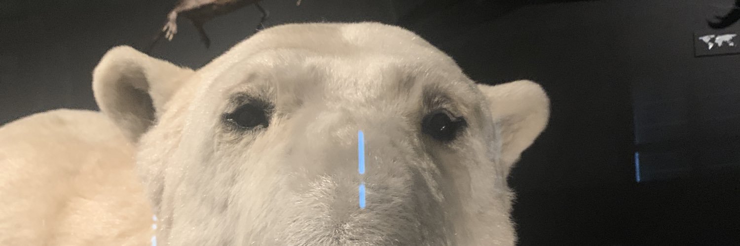 mladypivo's profile banner image