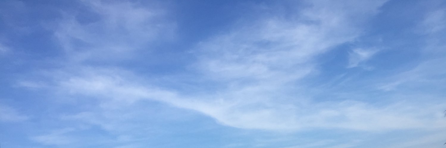 Helmie NFM banner