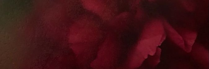 the_faddd's profile banner image