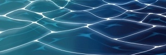りんごりんご's banner