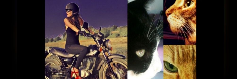 jsksanz's profile banner image