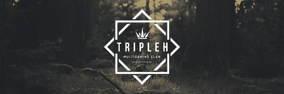 ˚Elꮻn Mꮜƨk˚ banner