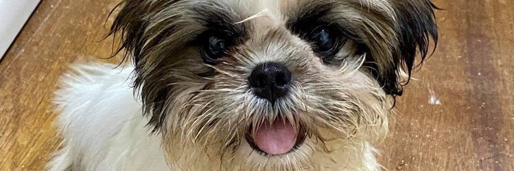 CutiKiel's profile banner image