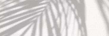fragmen_stercor's profile banner image