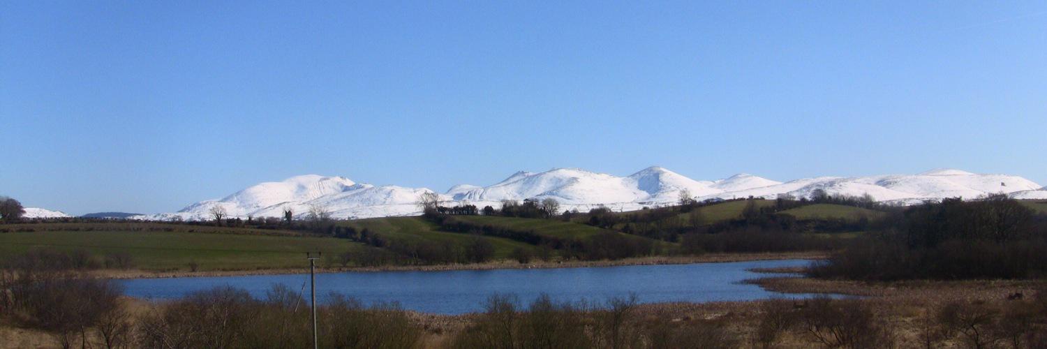 Ortho_Ireland's profile banner image