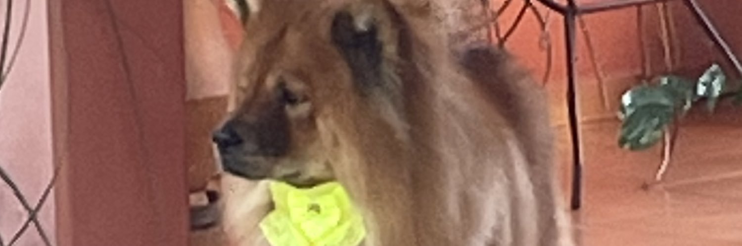 jhowpires1's profile banner image