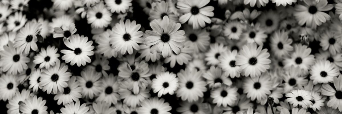 JuSt_BeLiEVe_33's profile banner image