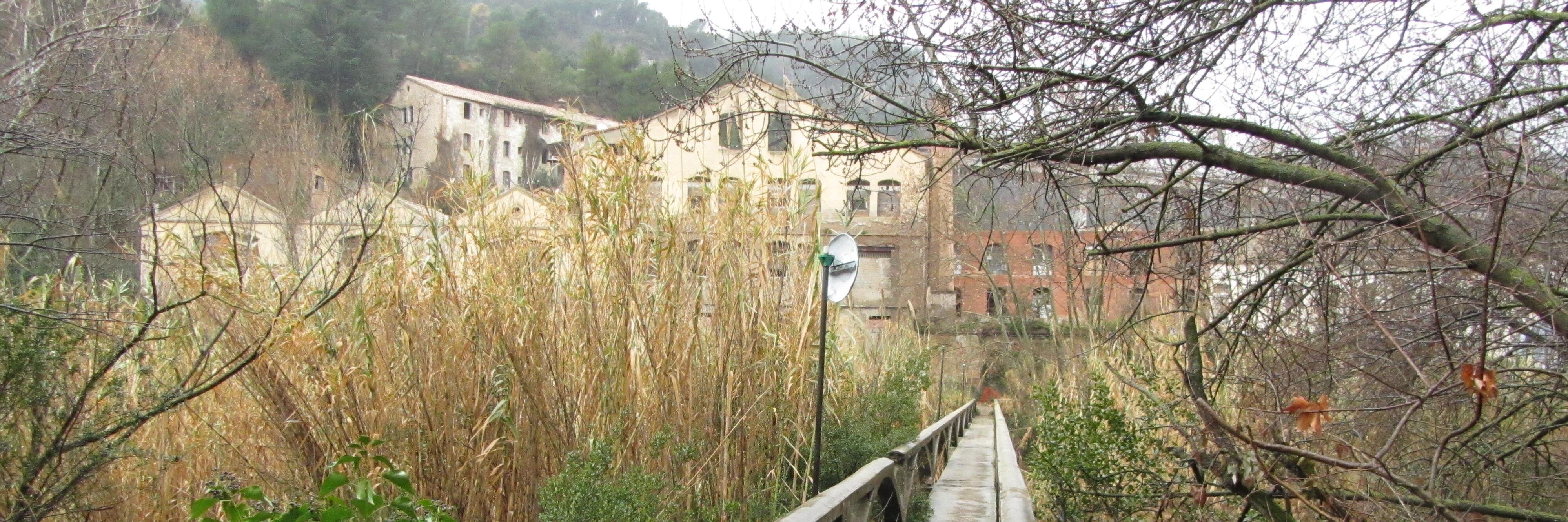 Aarón Fortuño banner