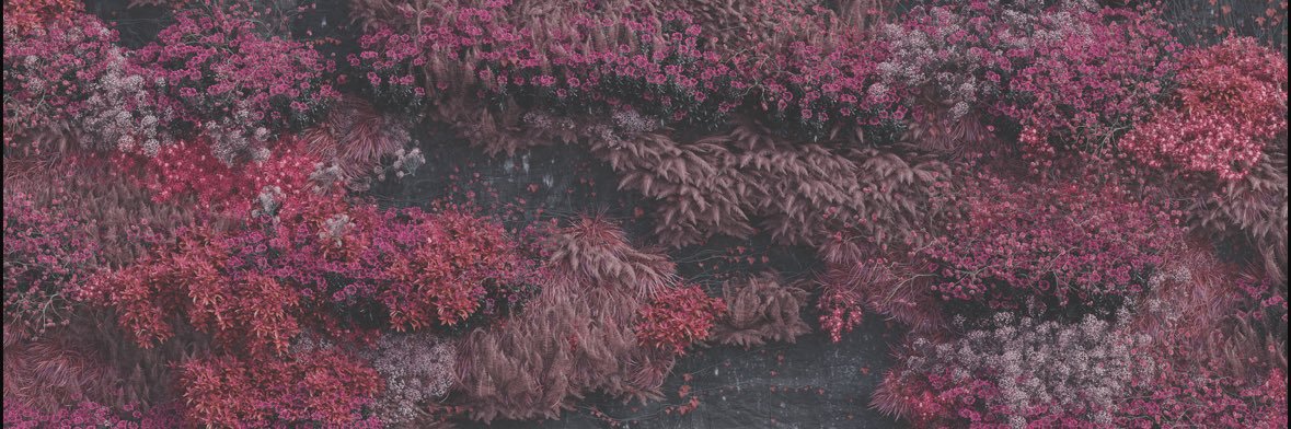eyesofthelamb's profile banner image