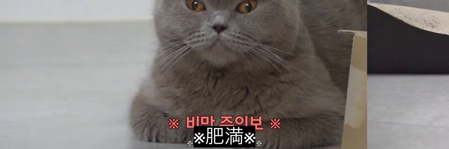 あおむけ⁷🧺𝙯𝙕 banner