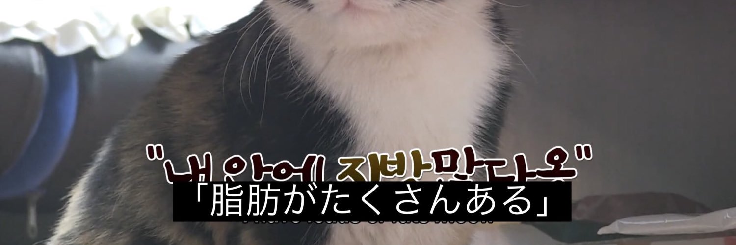 umoresque_'s profile banner image