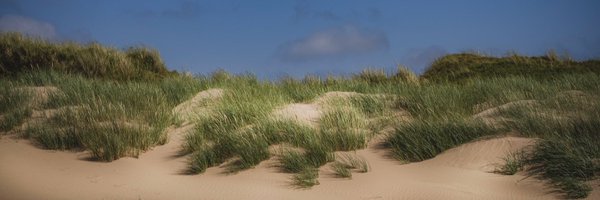 edmorrisuk Profile Banner