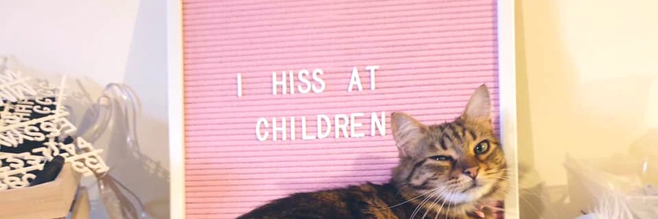 steviejo_'s profile banner image