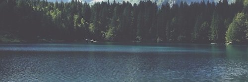 sciencc15's profile banner image