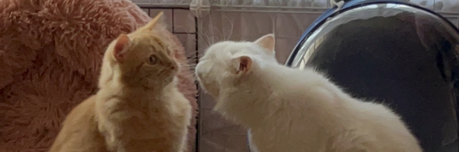 🌞 banner