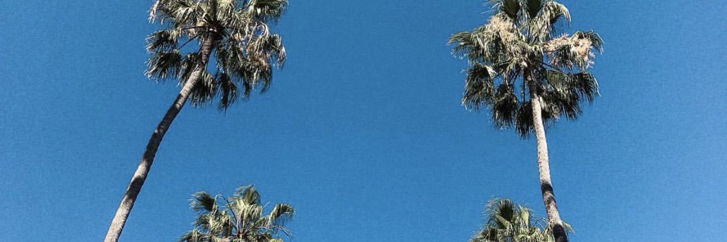 MrDoge560's profile banner image