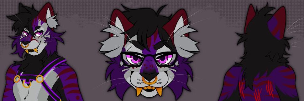 ThatStinkyKittyAD banner