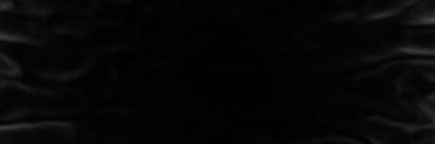 LustfullFeline's profile banner image
